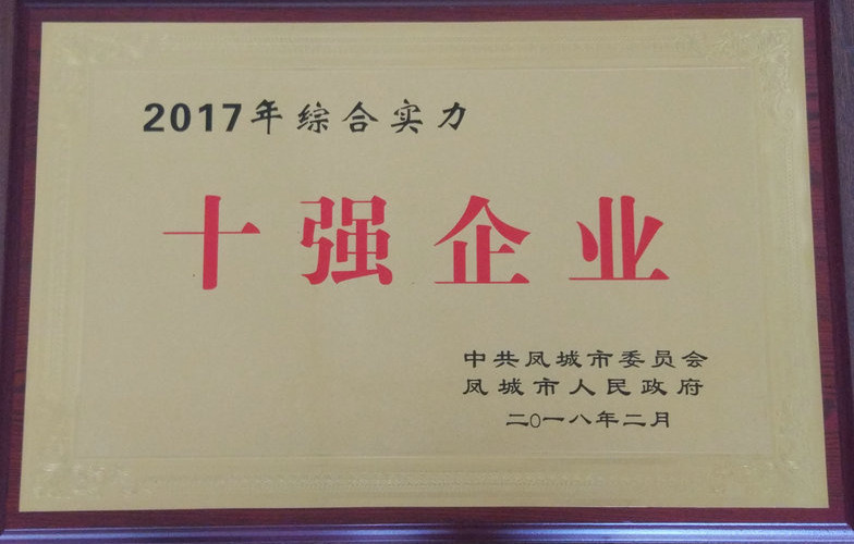 十強(qiáng)企業(yè) 2017.jpg