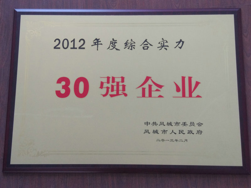 30強企業(yè) 2012.jpg