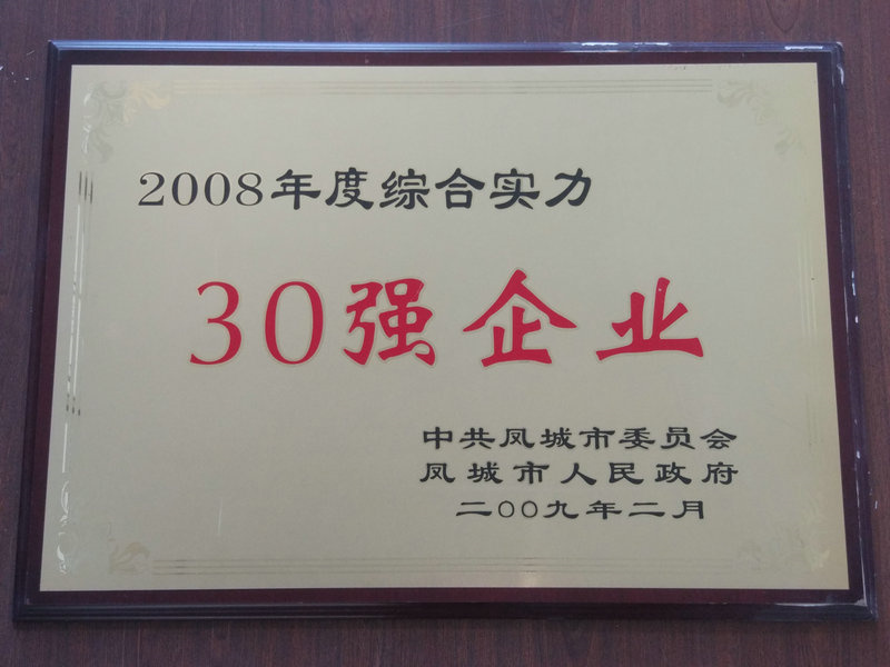 30強企業(yè) 2008.jpg